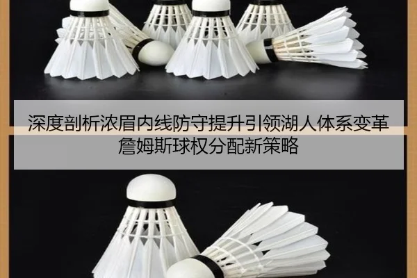 深度剖析浓眉内线防守提升引领湖人体系变革 詹姆斯球权分配新策略