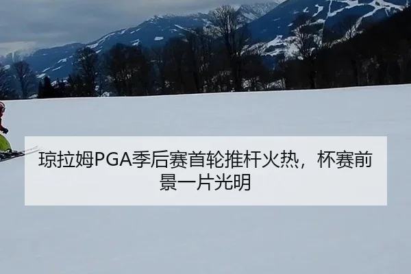 琼拉姆PGA季后赛首轮推杆火热，杯赛前景一片光明